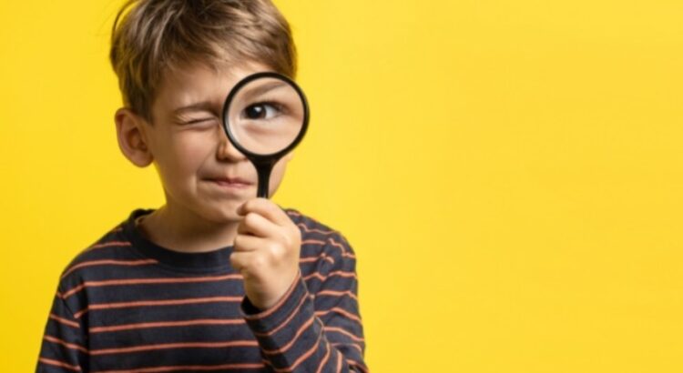 Qualities to look for in summer camps