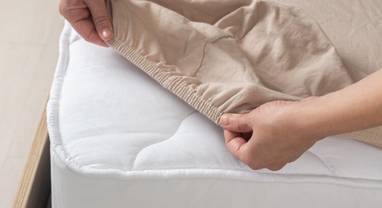 How to prevent bed bugs